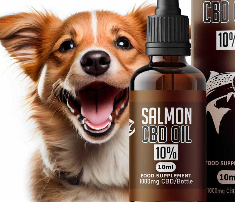 cbd for dogs serp image